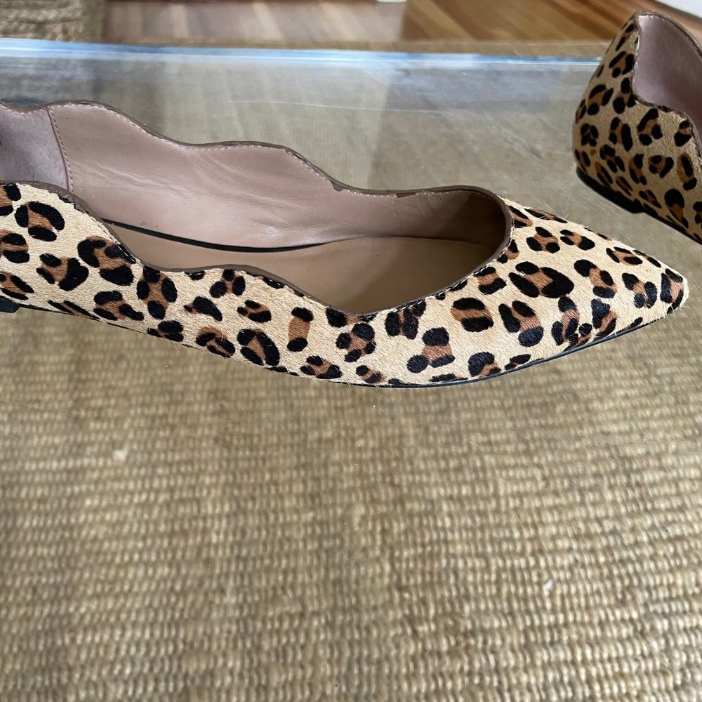 Leaopard Calf Pumps - image 5